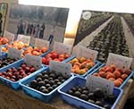 برنامه حمایت امریکا برای بازاریابی محصولات زراعتی و تجارت افغانستان تمدید شد